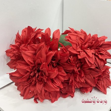 ورد داليا للتزين