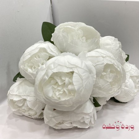 فوانيا أبيض1