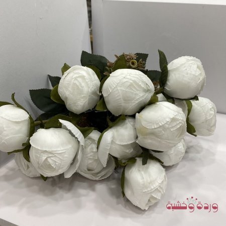 فوانيا أبيض ببيونة