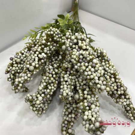 أخضر مع ابيض