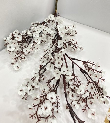 عرق لوز أبيض