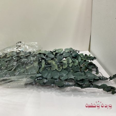 اخضر